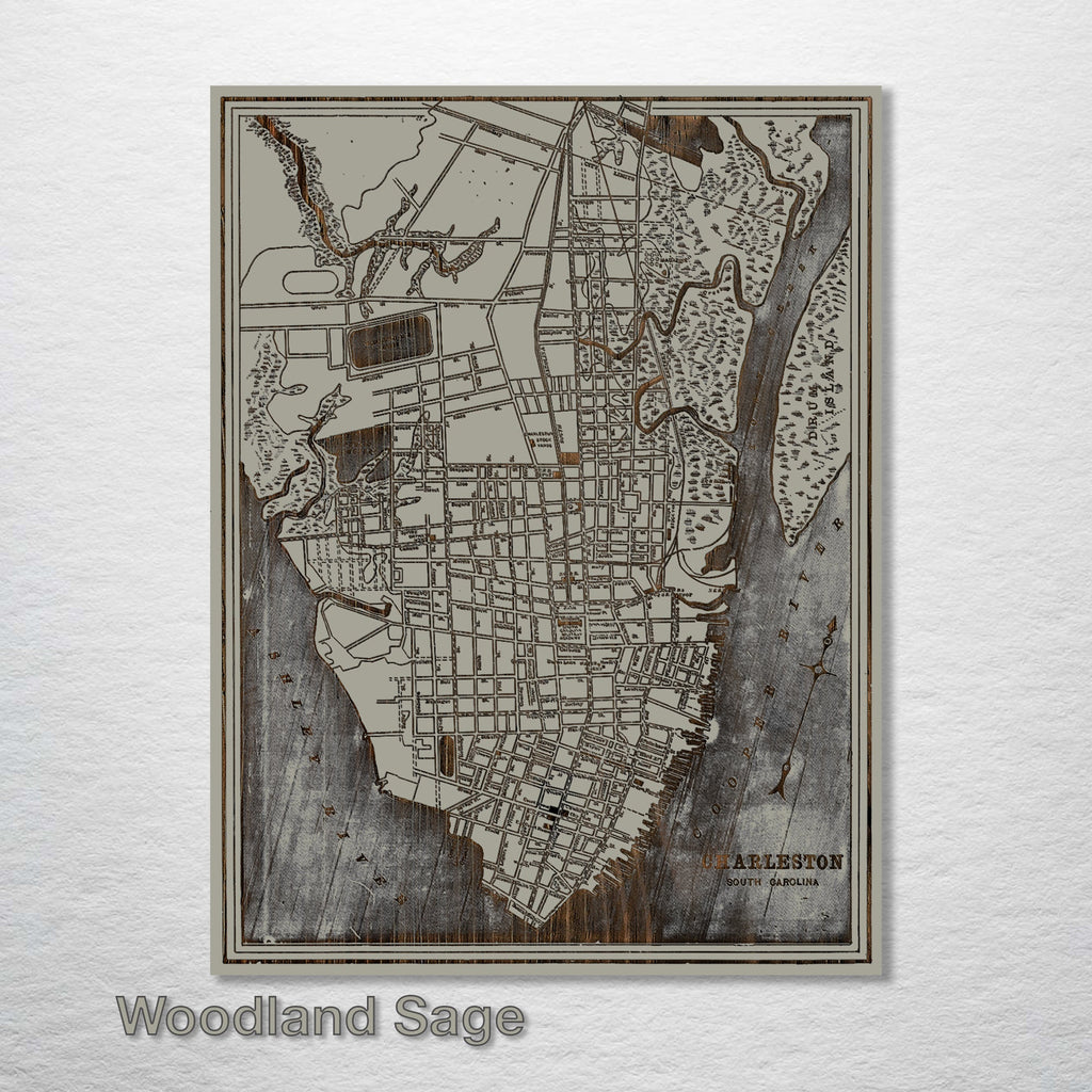 Charleston, SC 1898 - Historic Map on Wood