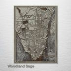 Charleston, SC 1898 - Historic Map on Wood