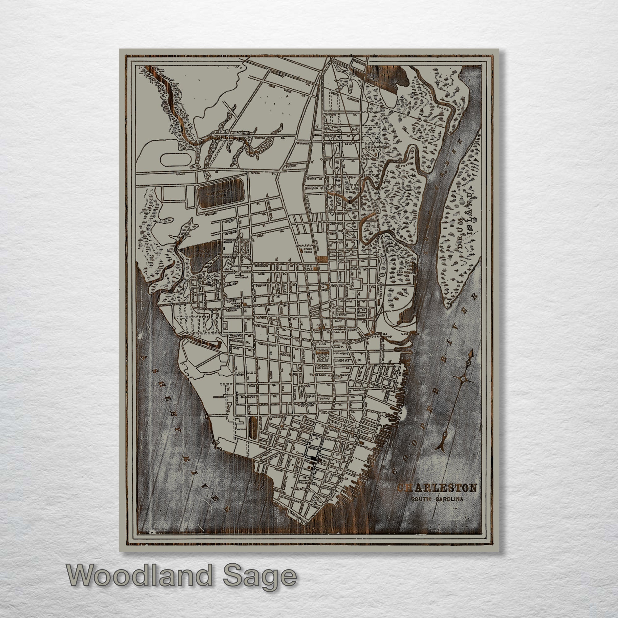 Charleston, SC 1898 - Historic Map on Wood