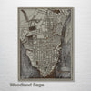 Charleston, SC 1898 - Historic Map on Wood