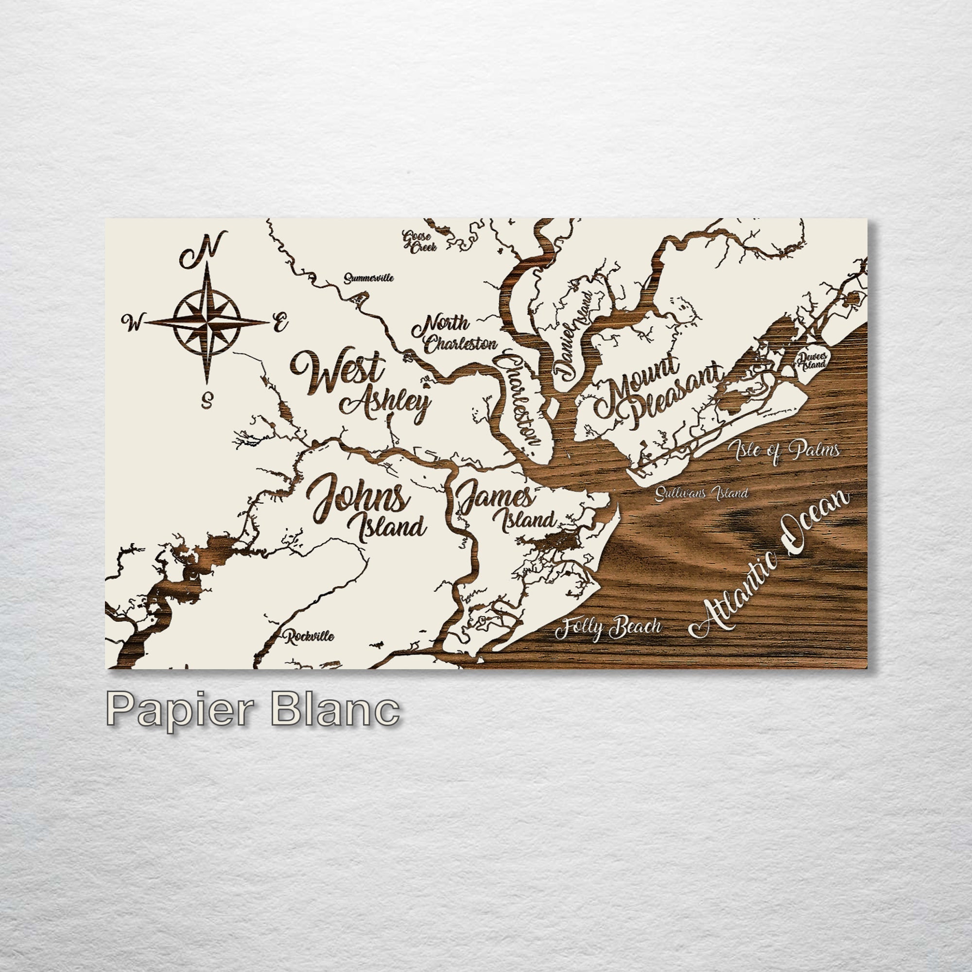 Charleston, SC Whimsical Map on Wood