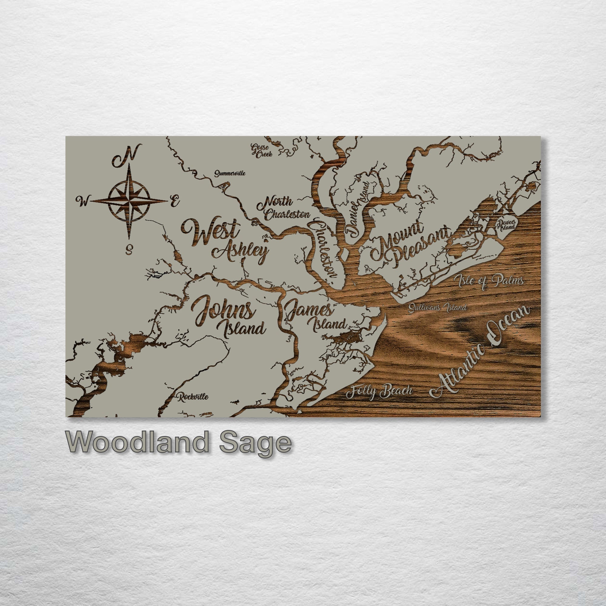 Charleston, SC Whimsical Map on Wood