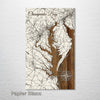 Chesapeake Bay - Street Map on Wood
