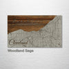 Cleveland, OH - Street Map on Wood