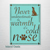 Cold Nose - Abstract