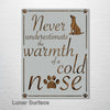 Cold Nose - Abstract