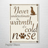 Cold Nose - Abstract