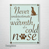 Cold Nose - Abstract