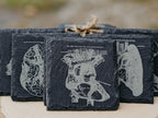 Medical Anatomy Art Coasters | 6pc Slate Set