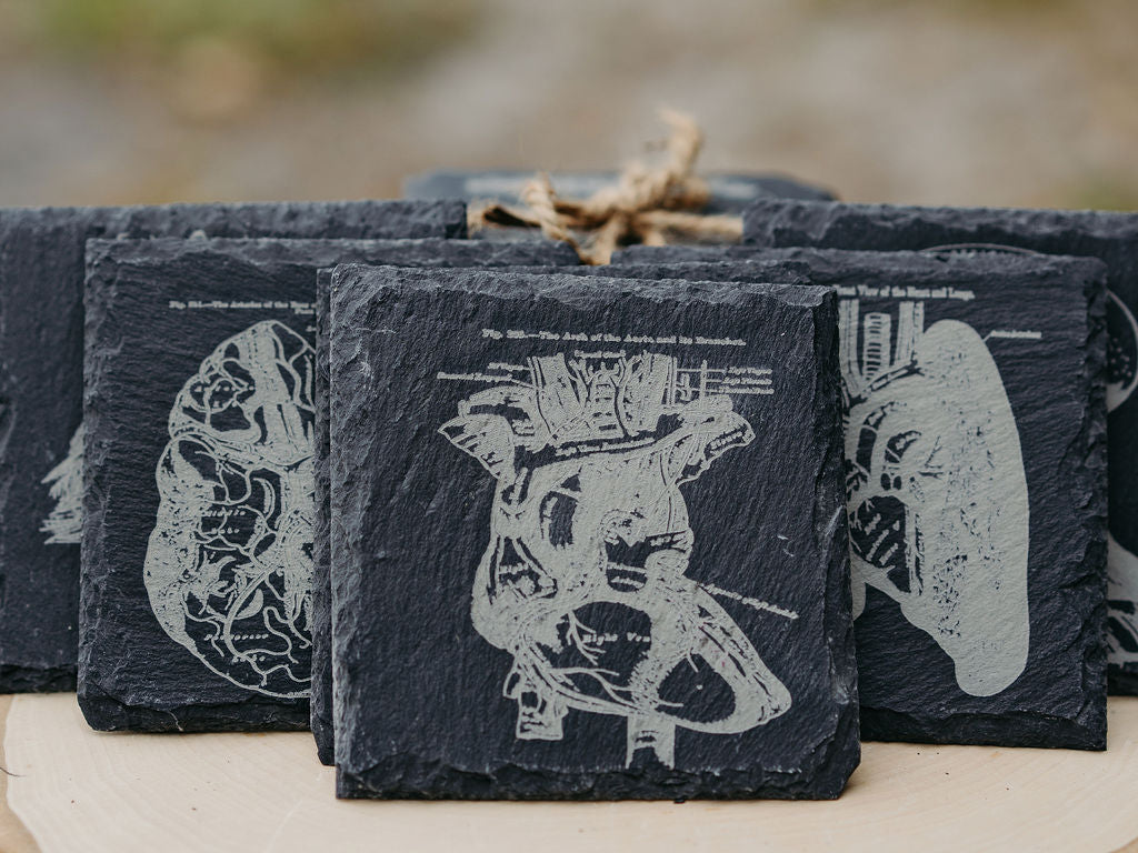 Medical Anatomy Art Coasters | 6pc Slate Set