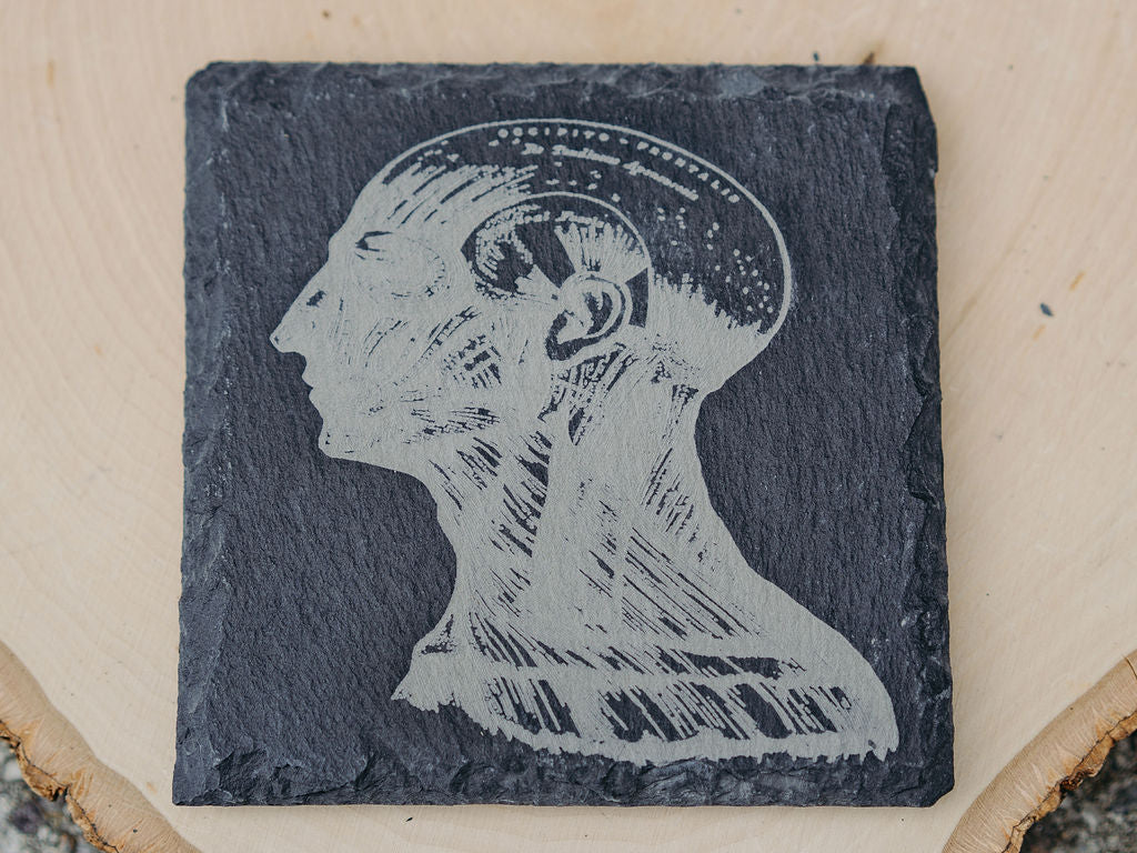 Medical Anatomy Art Coasters | 6pc Slate Set