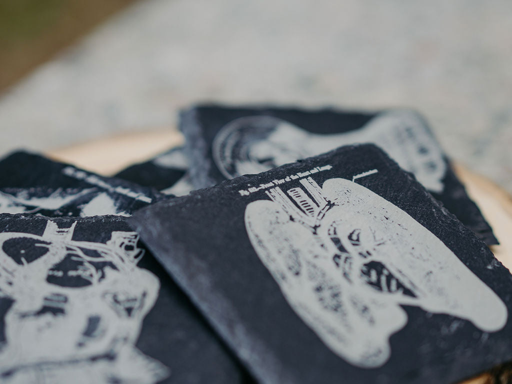 Medical Anatomy Art Coasters | 6pc Slate Set