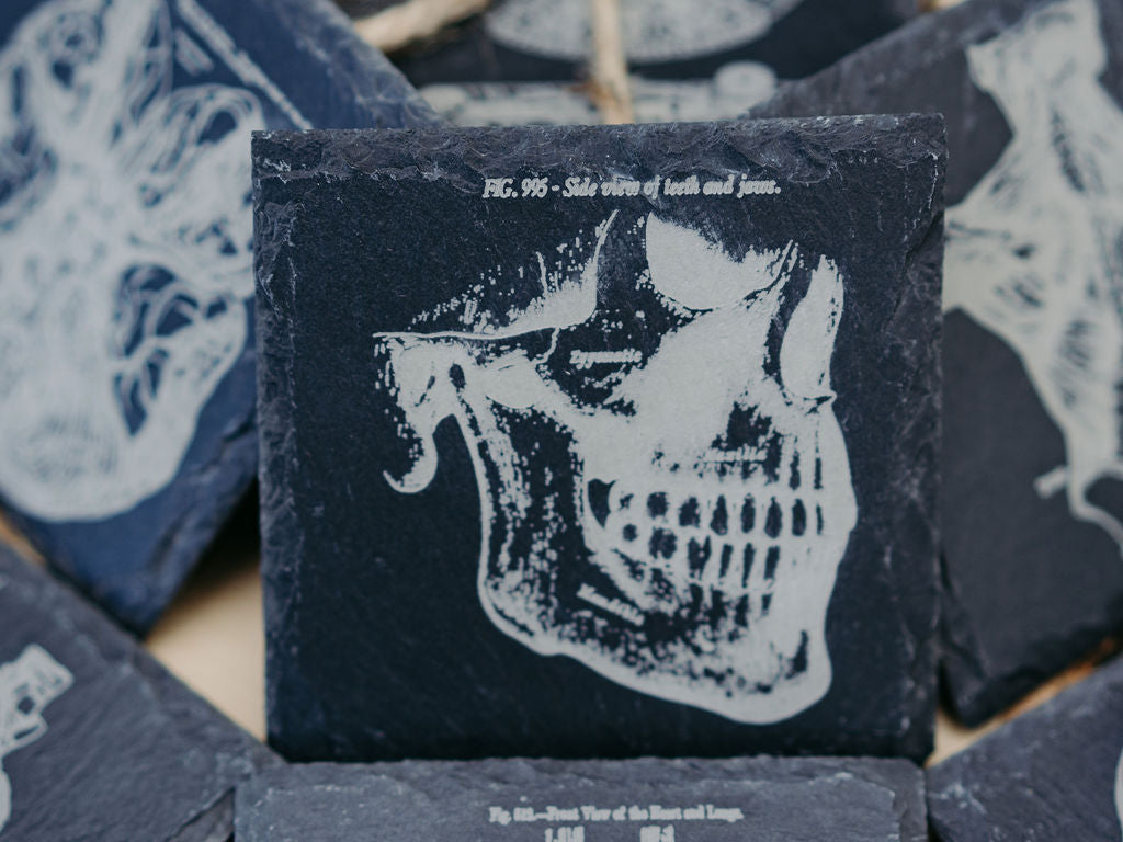 Medical Anatomy Art Coasters | 6pc Slate Set