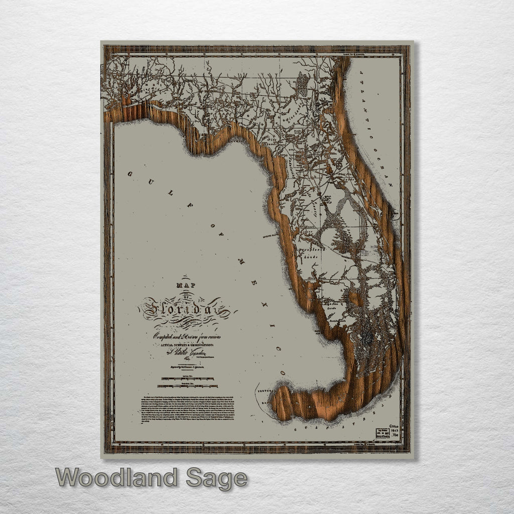 Florida Map on Wood 1823