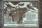 Siege of Savannah 1779 - Historic Map on Wood