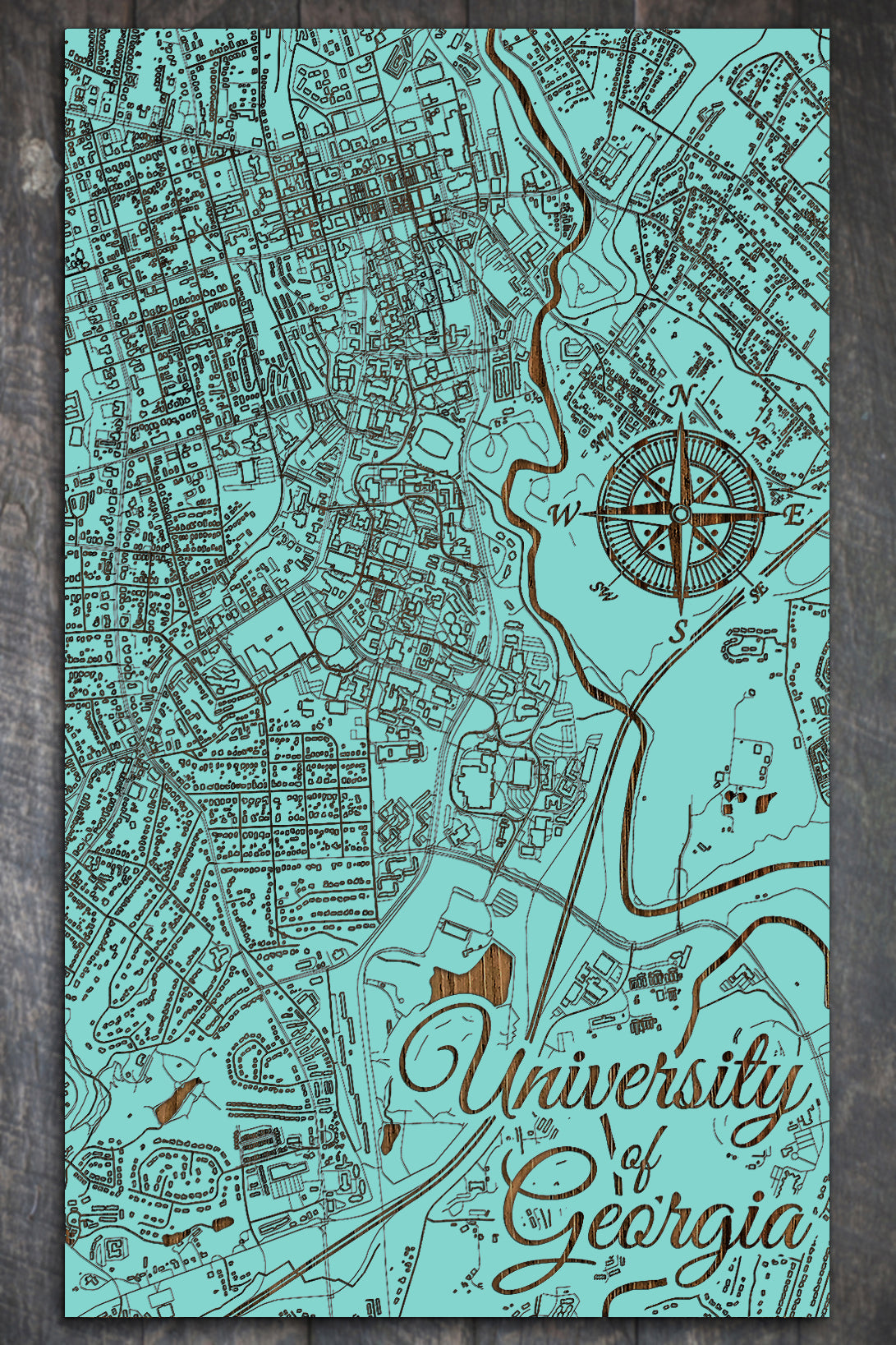 University of Georgia