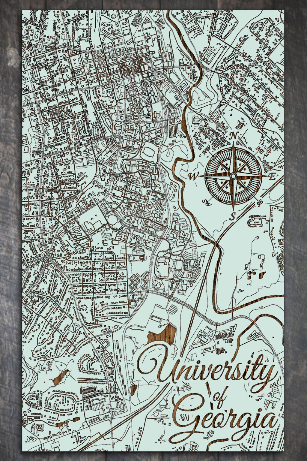 University of Georgia