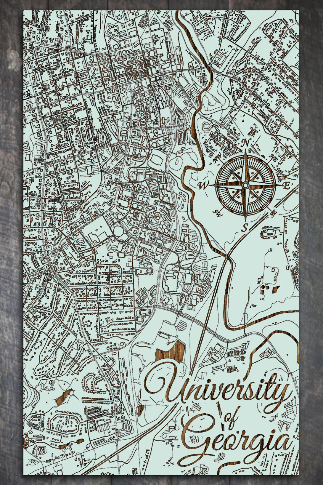 University of Georgia