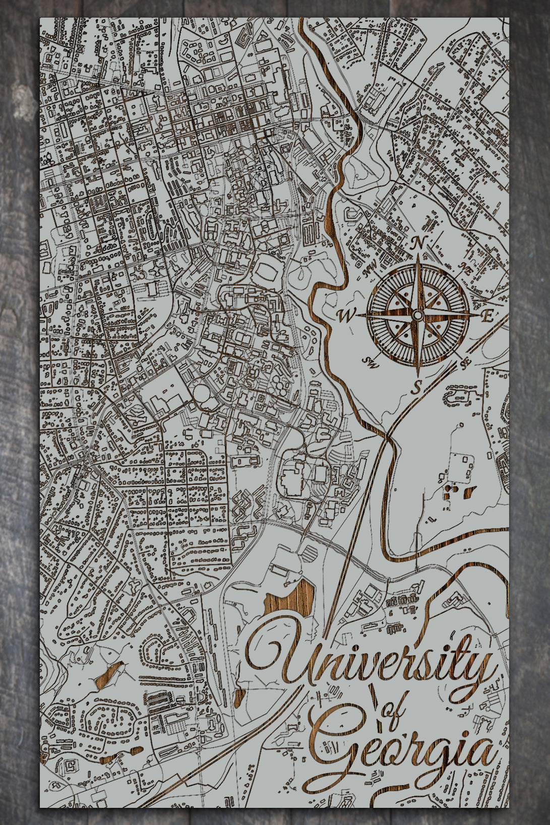University of Georgia