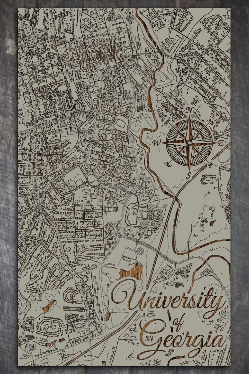 University of Georgia
