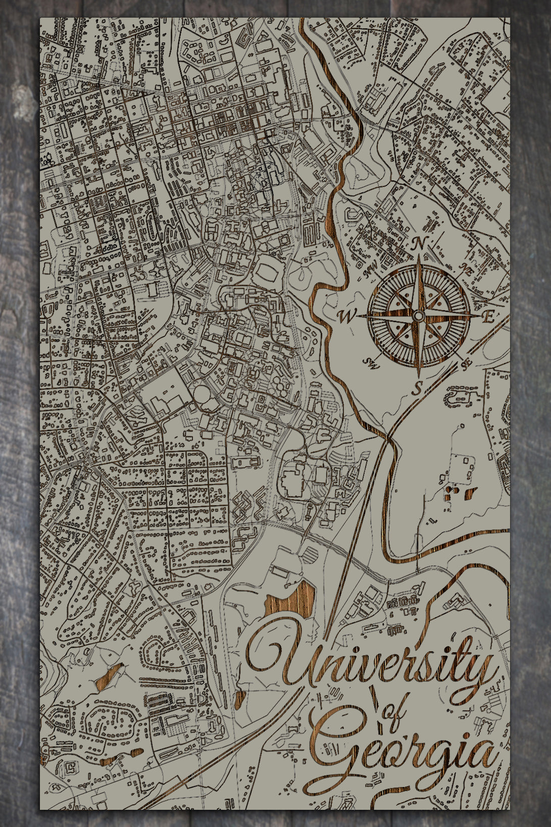 University of Georgia