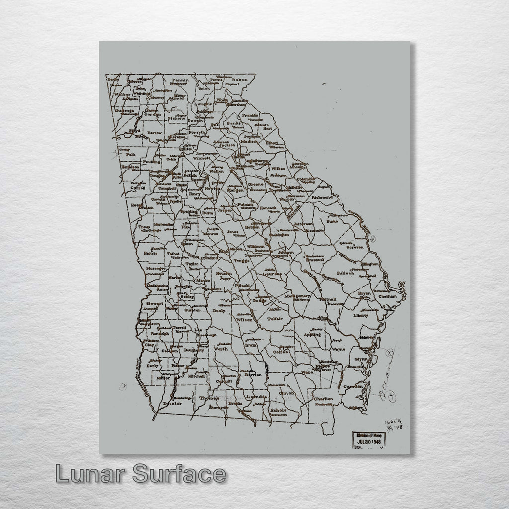 Georgia County Map on Wood - 1893