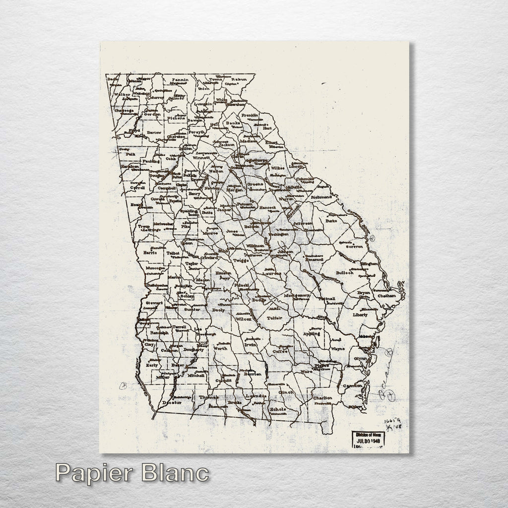 Georgia County Map on Wood - 1893