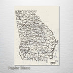 Georgia County Map on Wood - 1893