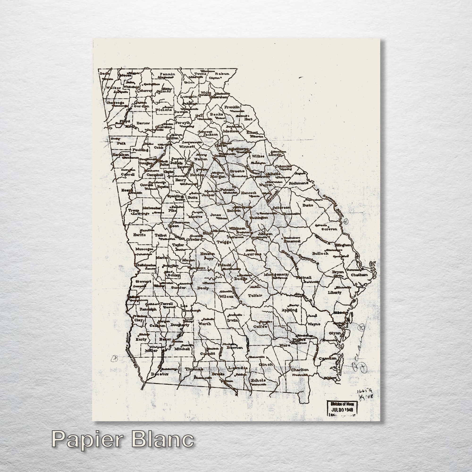 Georgia County Map on Wood - 1893