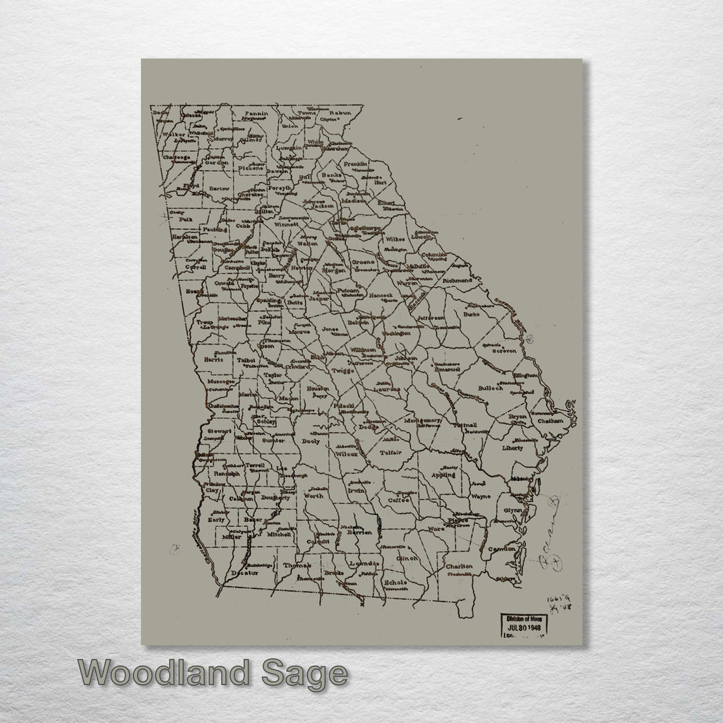 Georgia County Map on Wood - 1893