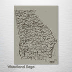 Georgia County Map on Wood - 1893