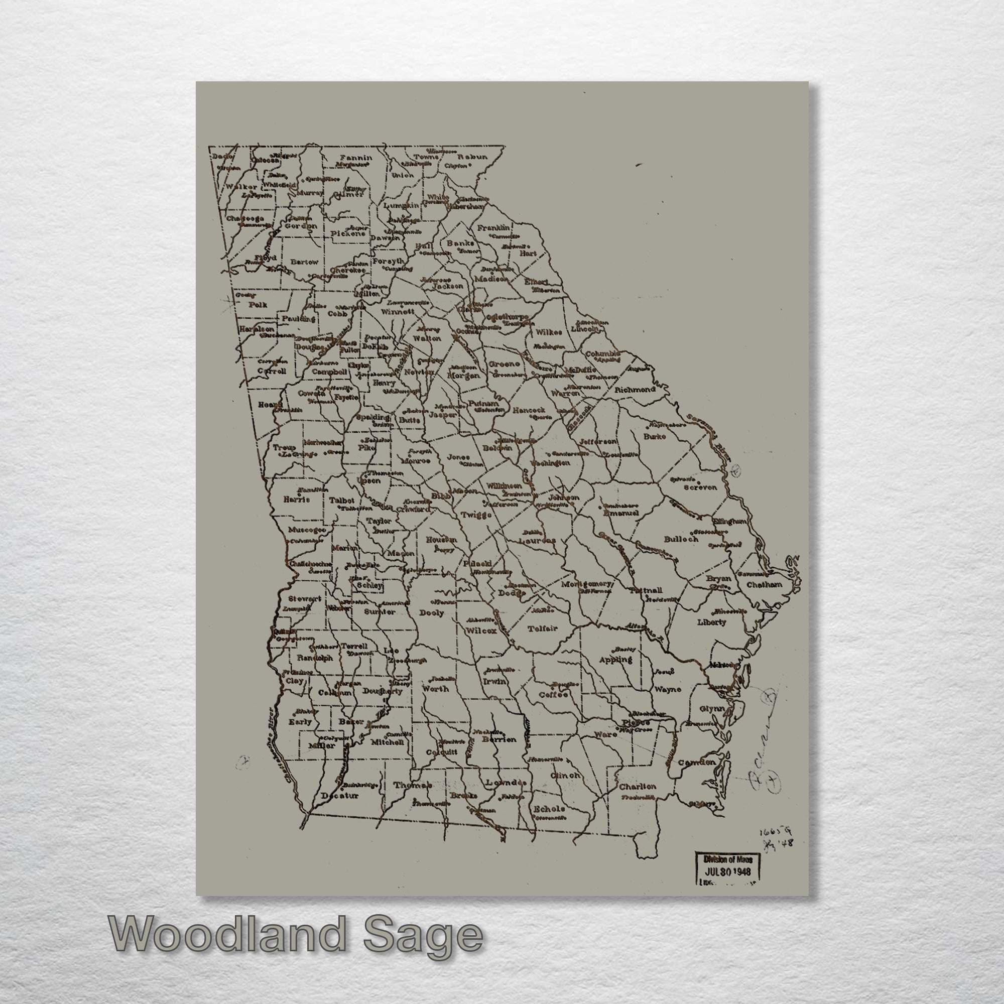 Georgia County Map on Wood - 1893