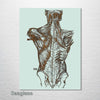 Gray's Anatomy - Back Muscle