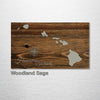 Hawaiian Islands - Street Map on Wood