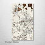Lake Buena Vista, FL - Street Map on Wood