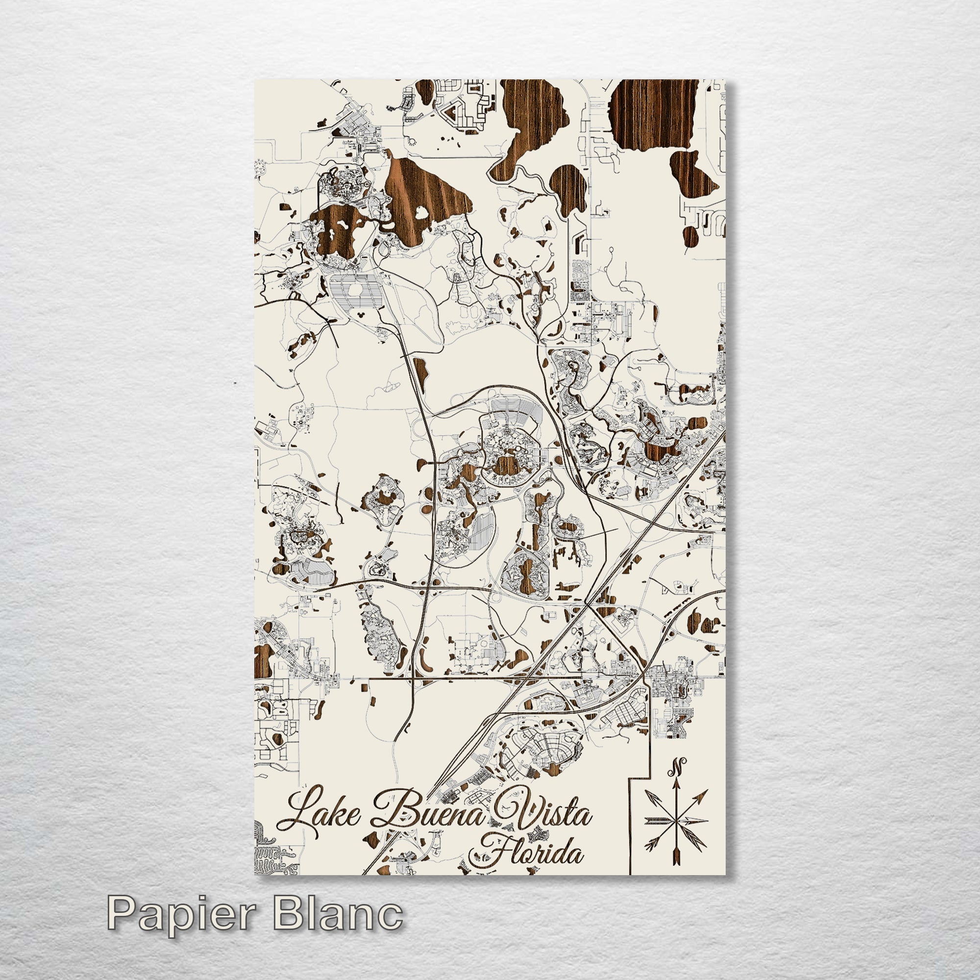 Lake Buena Vista, FL - Street Map on Wood