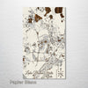 Lake Buena Vista, FL - Street Map on Wood