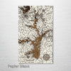 Lake Hartwell, SC - Street Map on Wood