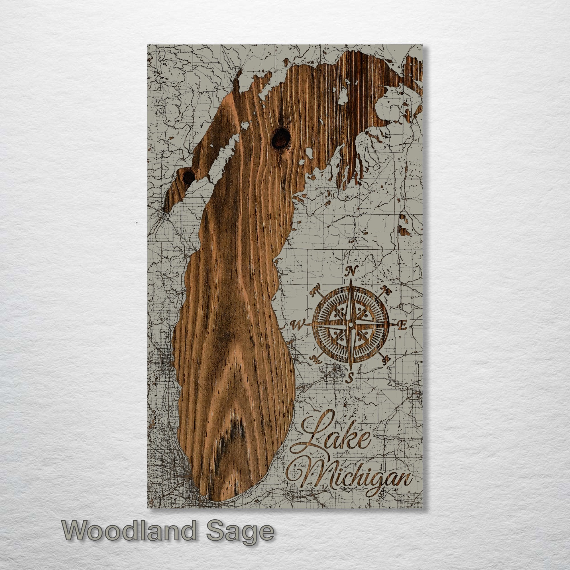 Lake Michigan - Street Map on Wood