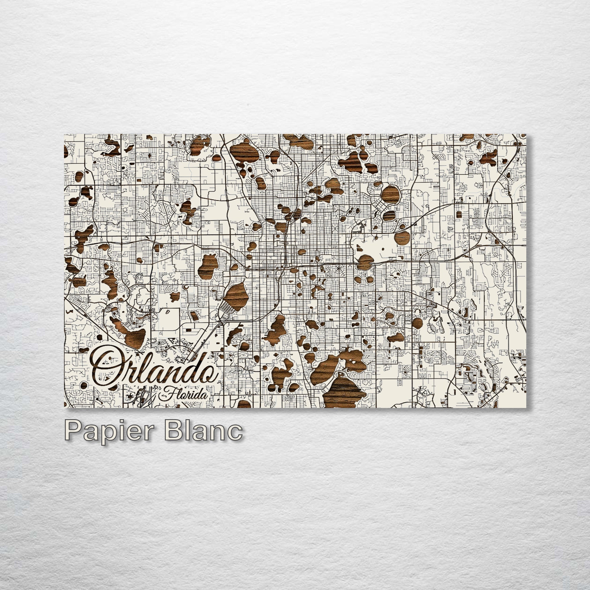 Orlando, FL - Street Map on Wood