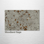 Orlando, FL - Street Map on Wood