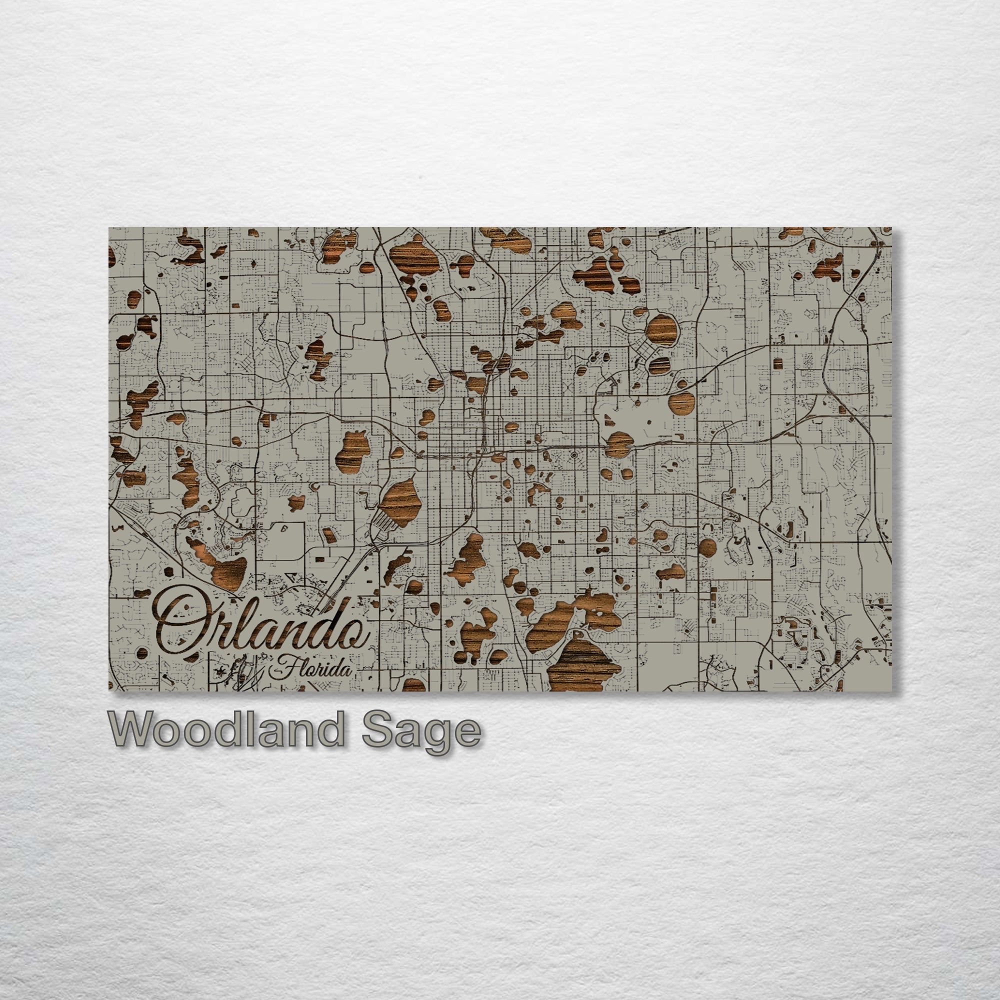 Orlando, FL - Street Map on Wood