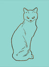 Cat Abstract