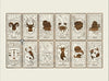 Zodiac Astrology Signs