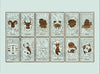 Zodiac Astrology Signs