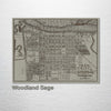 Savannah, GA - Historic Map on Wood 1856