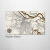 Savannah, GA - Street Map on Wood