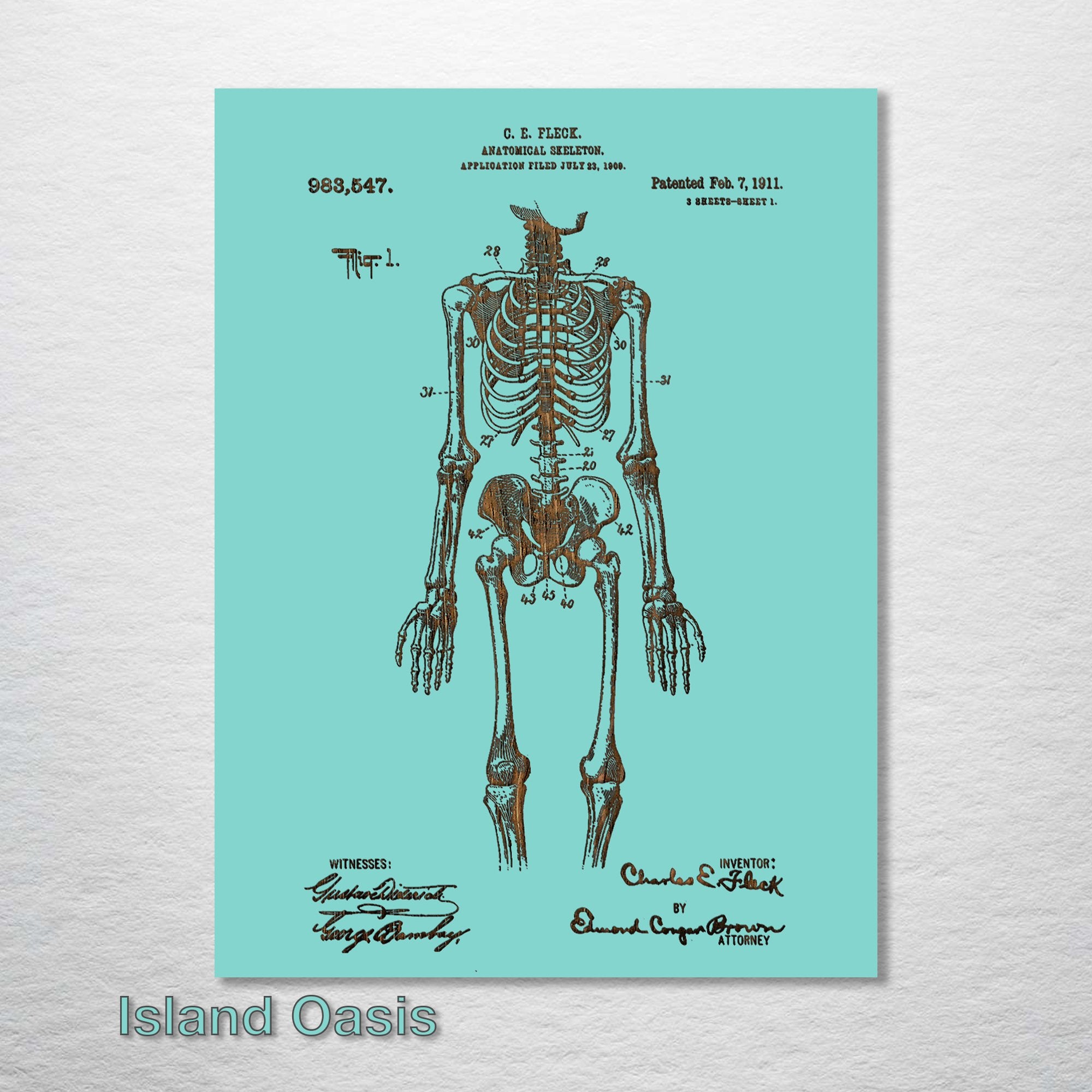 Anatomical Skeleton - Patent on Wood