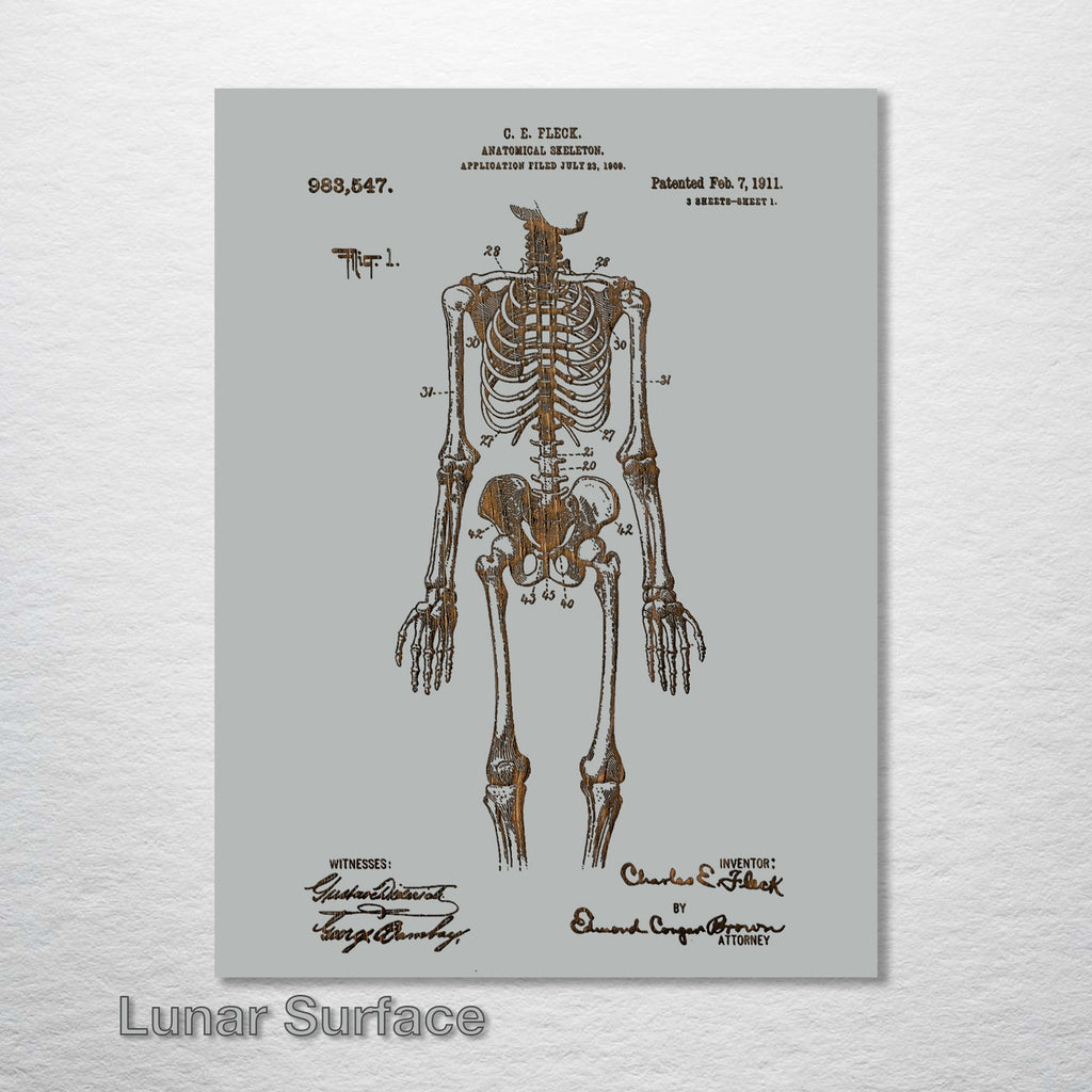 Anatomical Skeleton - Patent on Wood