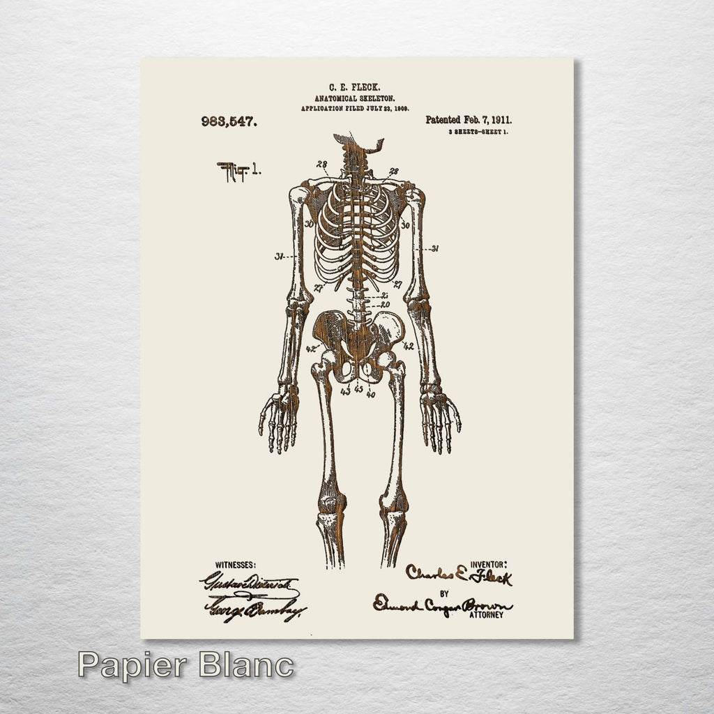 Anatomical Skeleton - Patent on Wood